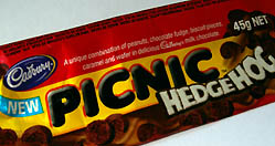 Cadbury Picnic Hedgehog
