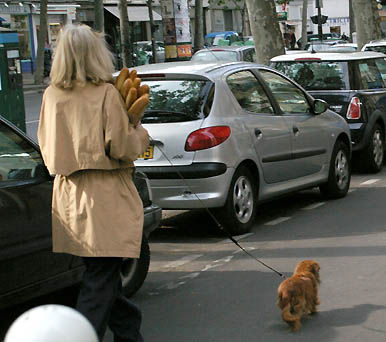 Paris: woman with baguettes and small dog